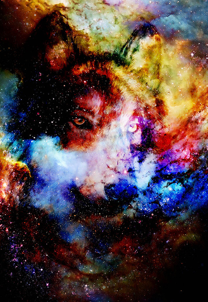 magical space wolf, multicolor computer graphic collage. - Photo, Image