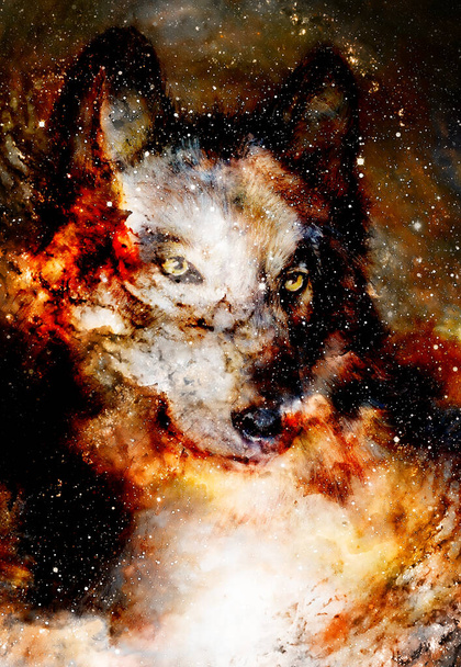 magical space wolf, multicolor computer graphic collage. - Zdjęcie, obraz