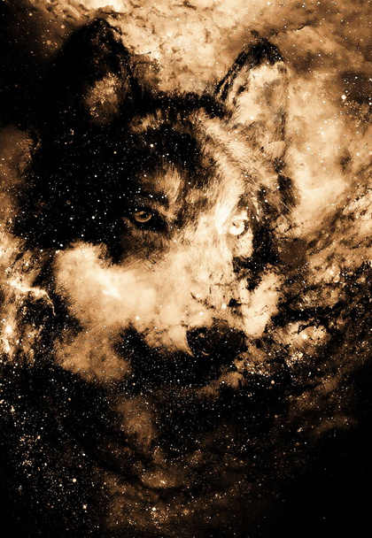 magische ruimte wolf, veelkleurige computer grafische collage. Sepia-effect - Foto, afbeelding