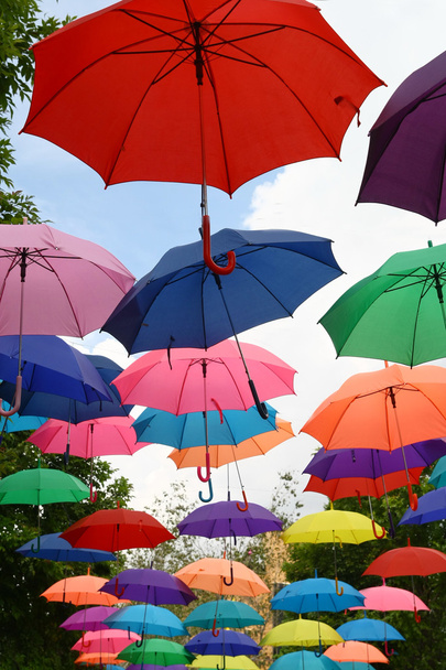 Πολύχρωμες ομπρέλες - Φωτογραφία, εικόνα