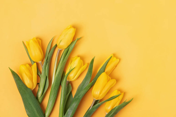 Bouquet of fresh bright spring tulips on yellow background. - Fotó, kép