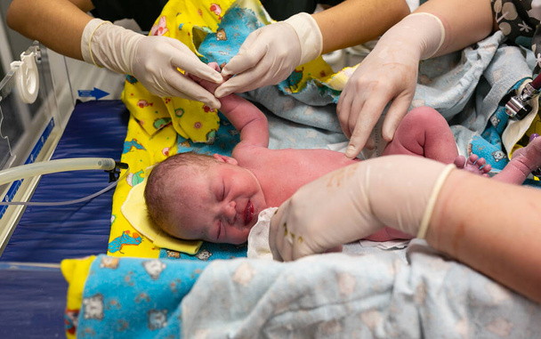 Новонароджена дитина після народження в лікарні
 - Фото, зображення
