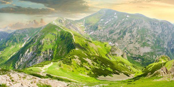Cordilleras cubiertas de hierba y pino montañoso con afloramientos rocosos escarpados en verano al atardecer en las montañas Tatra
 - Foto, imagen