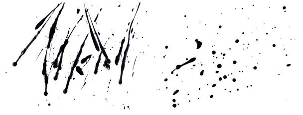 abstract ink black of stain or splash black watercolor paint and liquid Ink splash splatter is  black line calligraphy of brush isolated on white background with clipping path. - Photo, Image