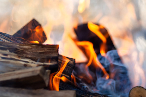 Burning firewood, fire, charcoal, grill. - Фото, изображение