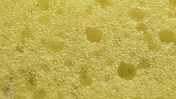 Macro van de gele spons. Gedetailleerde spons textuur achtergrond - Video