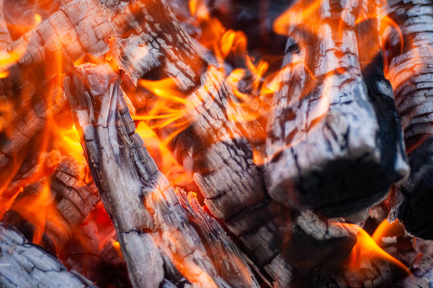 Hořící dřevo, oheň, dřevěné uhlí, gril - Fotografie, Obrázek