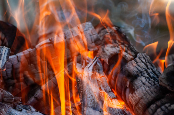 Burning firewood, fire, charcoal , grill - Photo, image