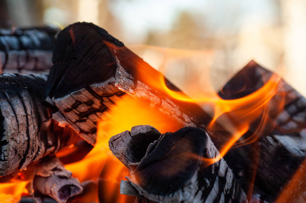Burning firewood, fire, charcoal , grill - Valokuva, kuva
