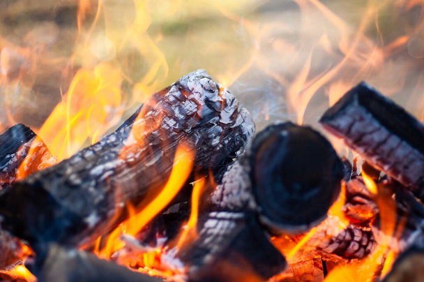 Burning firewood, fire, charcoal , grill - Foto, imagen