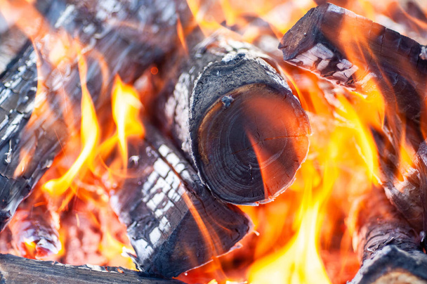 Burning firewood, fire, charcoal , grill - Фото, изображение