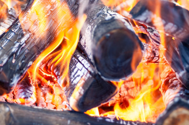 Burning firewood, fire, charcoal , grill - Fotografie, Obrázek
