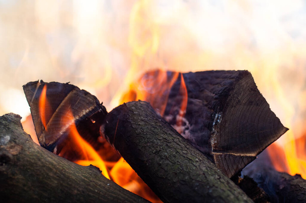 Burning firewood, fire, charcoal , grill - Foto, imagen