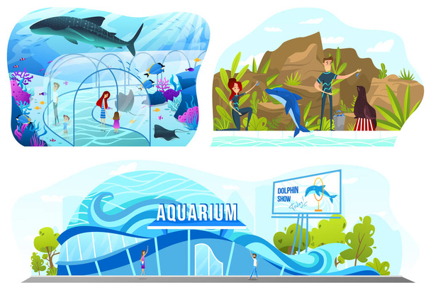 People in aquarium, dolphin show entertainment, vector illustration - Vetor, Imagem