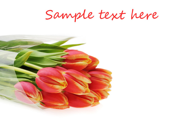 Red tulips - Фото, изображение