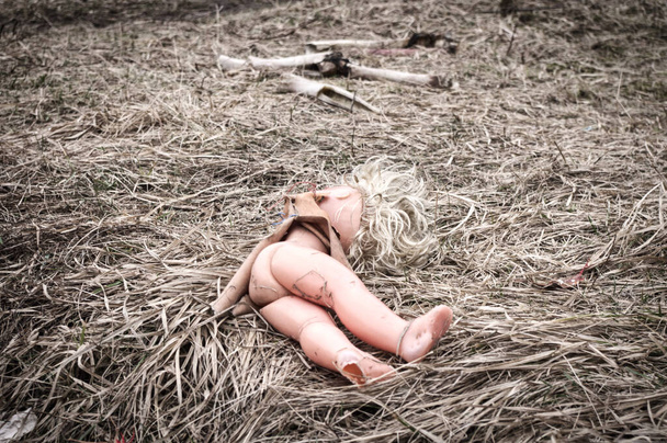 Μια παλιά κούκλα ξαπλωμένη στο γρασίδι του χειμώνα με τα οστά στο παρασκήνιο. - Φωτογραφία, εικόνα