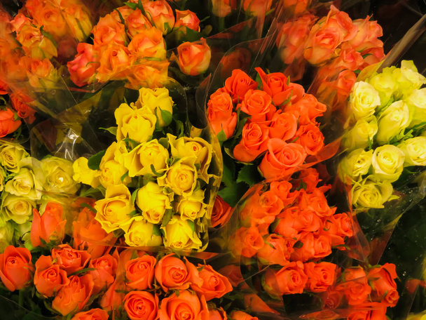 A bright bouquet of colorful roses in transparent packaging, shot from above in a flower shop - 写真・画像