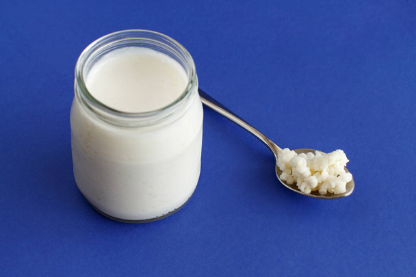 Fermented drink kefir in small bottle and kefir grains on a blue background close up - Photo, Image