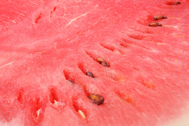 Watermelon - Φωτογραφία, εικόνα