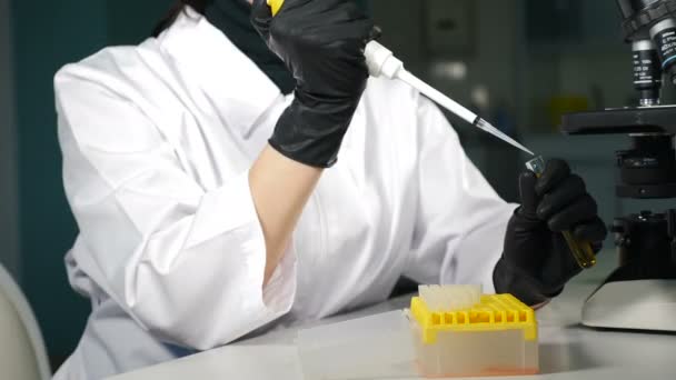 Közelkép női kéz kutató kesztyű Micro Pipette használata közben dolgozik Test Tubes. Emberek az innovatív gyógyszerészeti laboratóriumban, modern genetikai orvosi berendezésekkel - Felvétel, videó