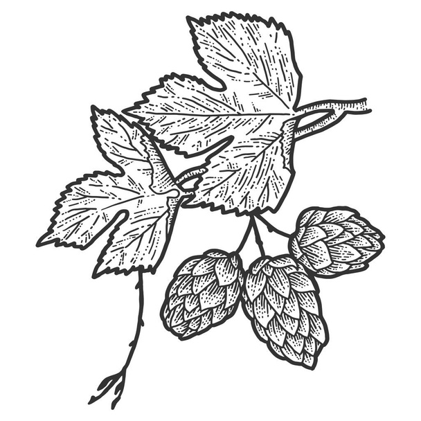 Un pizzico di luppolo e foglie in fiore. Imitazione del gratta e Vinci. Immagine disegnata a mano in bianco e nero
. - Vettoriali, immagini