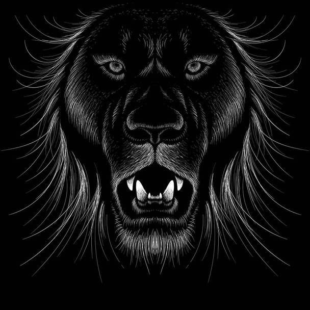 Vector logo lion for tattoo or T-shirt print design or outwear - Vector, Image