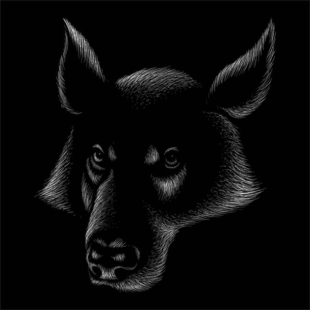 Vector logo perro o lobo para tatuaje o diseño de camiseta o outwear
  - Vector, Imagen