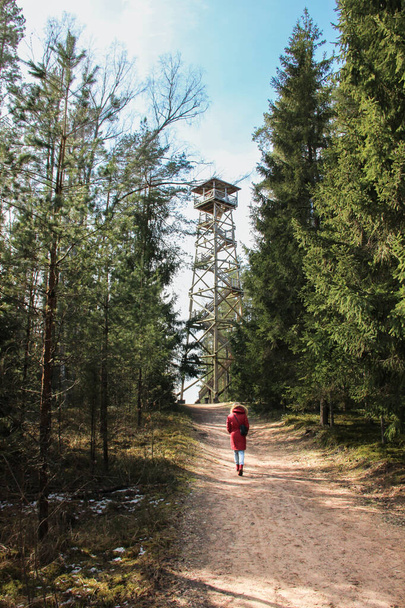 Taking a walk in the nature park. Exploring forest trails and seeking for observation tower in parkland of Ogre, Latvia.  - Photo, Image
