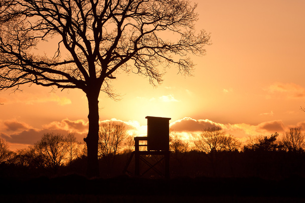Sonnenuntergang mit Jägersitz - Foto, Bild