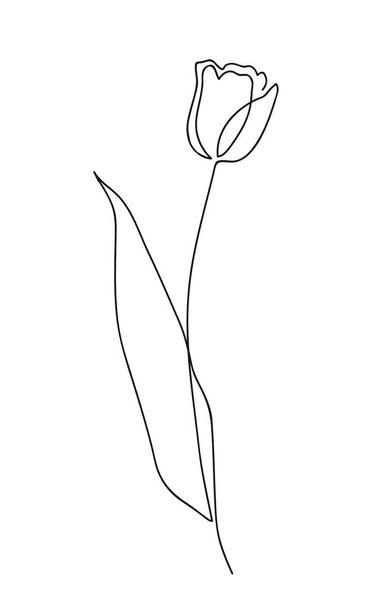 Beautiful tulip flower. Line art concept design. Continuous line drawing. Stylized flower symbol. Vector illustration. - Vettoriali, immagini