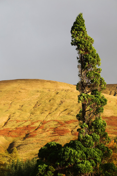 Colores otoñales en Highlands
 - Foto, Imagen
