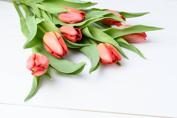 Vista laterale di sette piccoli fiori di tulipano rosso vivido e foglie verdi su un tavolo di legno bianco doloroso, bellissimo sfondo floreale interno fotografato con piccola attenzione
 - Foto, immagini