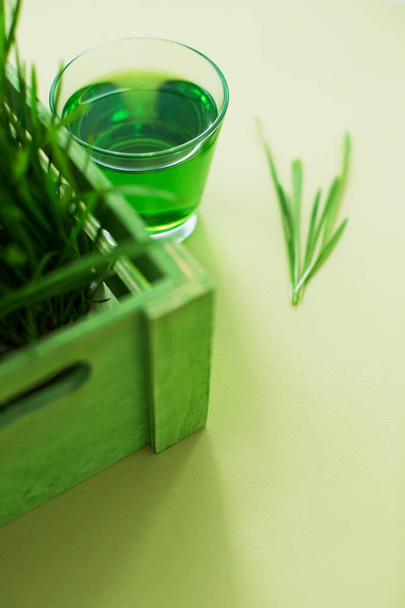 Zelená bio pšenice tráva nápoj a mladá tráva v zelené dřevěné krabici na žlutém pozadí - Fotografie, Obrázek