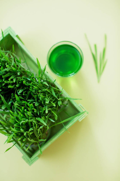 Green organic wheat grass drink and young grass in the green wooden box on a yellow background - Photo, Image