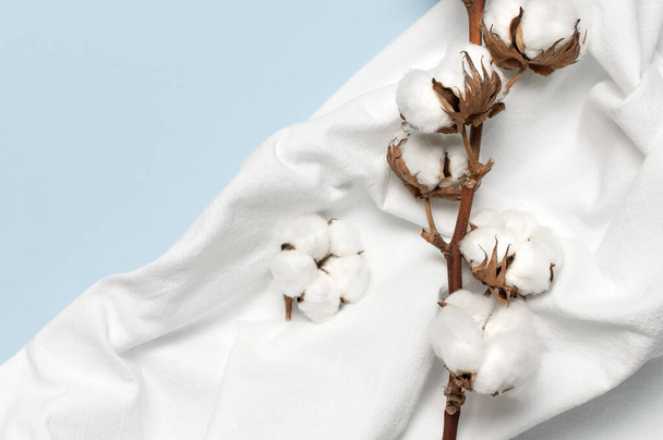 Flat lay Hermosa rama de algodón y tela de algodón natural blanco sobre fondo azul vista superior espacio de copia. Delicadas flores de algodón blanco. Fondo de algodón de color claro. Textiles ecológicos
. - Foto, imagen