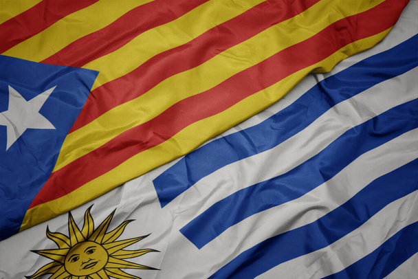 acenando bandeira colorida de uruguai e bandeira nacional da Catalunha. macro
 - Foto, Imagem