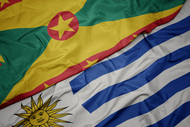 Mává barevnou vlajkou uruguaye a národní vlajkou granátu. makro - Fotografie, Obrázek