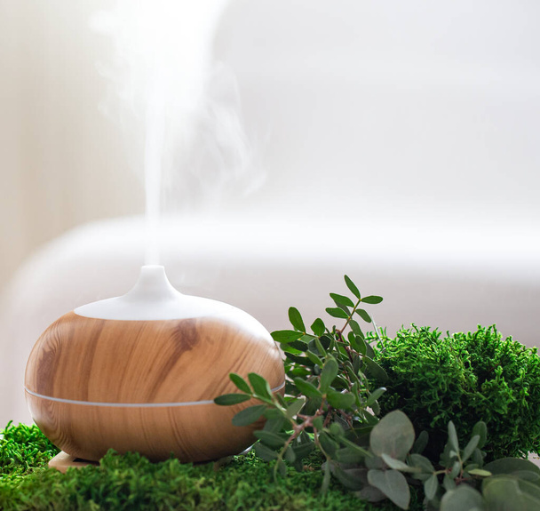 Modern aromás olaj diffúzor friss gyógynövényekkel. Tiszta és illatos levegő otthon. - Fotó, kép