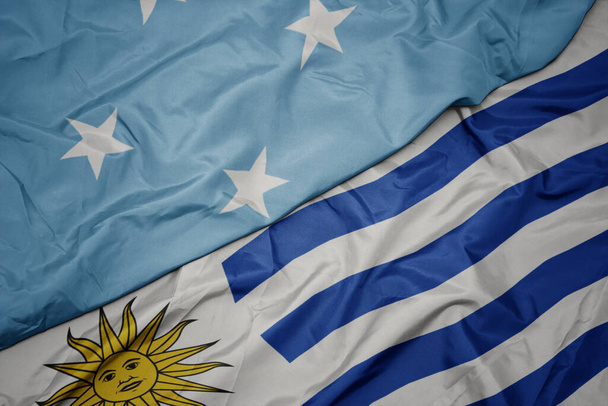 agitando bandeira colorida de uruguai e bandeira nacional dos Estados Federados da Micronésia. macro
 - Foto, Imagem