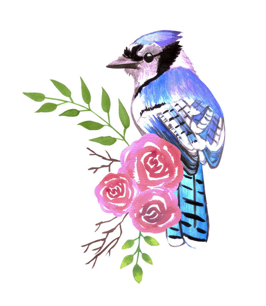 Μπλε πουλί Jay με κόκκινα τριαντάφυλλα και κλαδιά υδρόχρωμα πουλιά ζωγραφική - Διάνυσμα, εικόνα