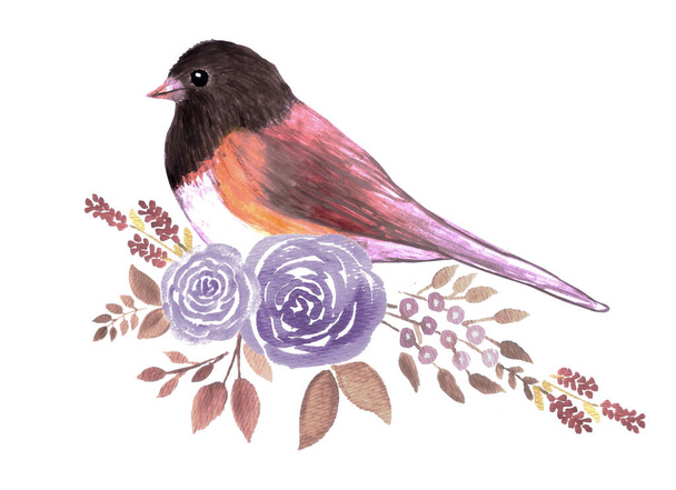 Dark eyed Junco and perennial flowering plant watercolor painting - Vector, Image