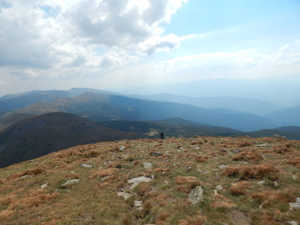 wildlife photos of the Carpathian Mountains (Ukraine) - Foto, Imagen