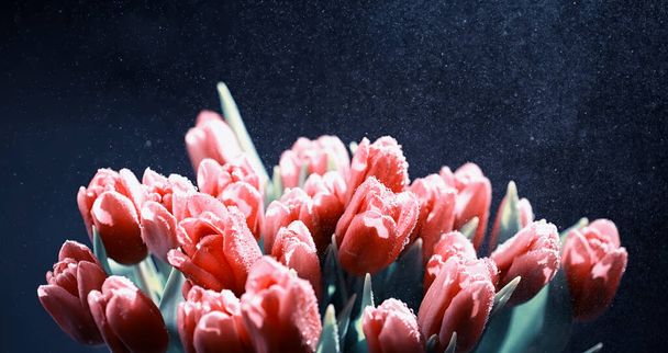 Bouquet de fleurs fraîches. Cadeau de vacances à un être cher. Contexte Saint-Valentin. Arrangement de fleurs rose, tulipe, iris. - Photo, image