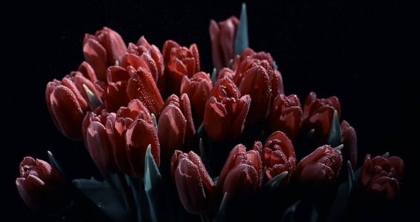 Bouquet de fleurs fraîches. Cadeau de vacances à un être cher. Contexte Saint-Valentin. Arrangement de fleurs rose, tulipe, iris. - Photo, image