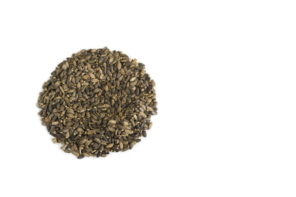 Maidon ohdake (Silybum marianum), joka tunnetaan nimellä Scotch Thistle tai Marian Thistle, siemenet
 - Valokuva, kuva
