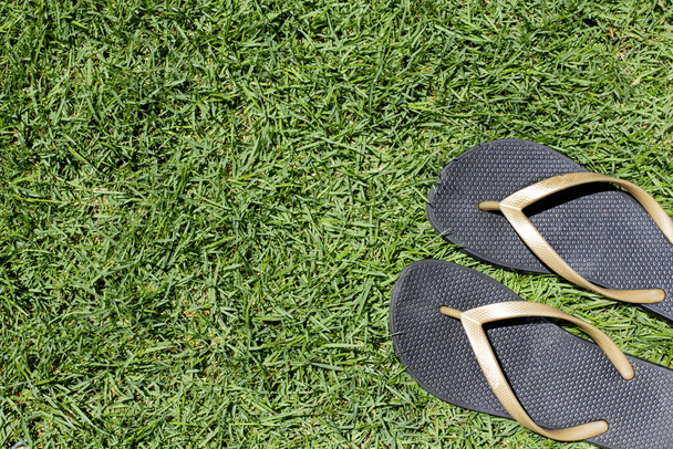 Pair of black slippers on green grass background - Foto, Imagen