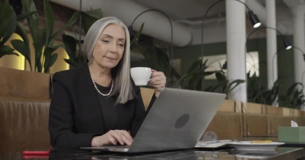 Front view of mature stylish businesswoman holding cofee cup and working on laptop. Old elegant female enterpreneur sitting at cafee table and working. Indoor. Concept of business. - Πλάνα, βίντεο