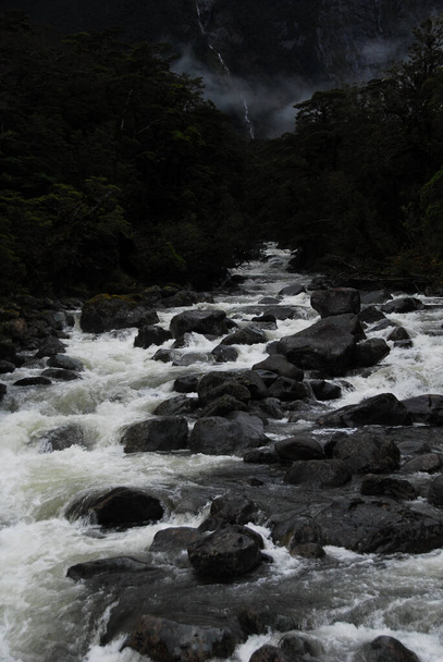 Fluss in Milford Sounds, Neuseeland - Foto, Bild