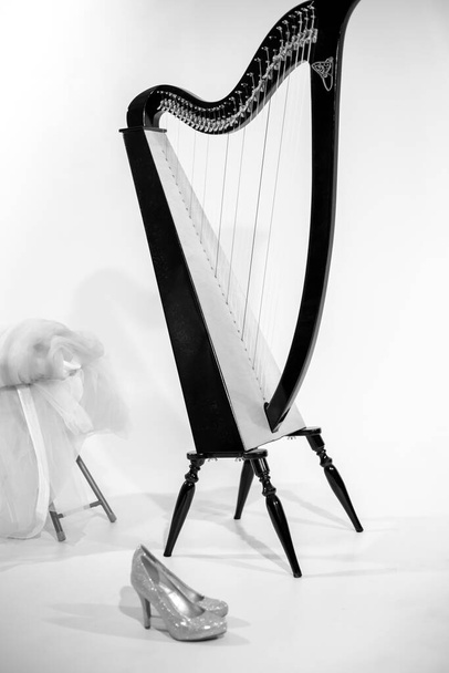 harpa escura em um fundo claro
 - Foto, Imagem