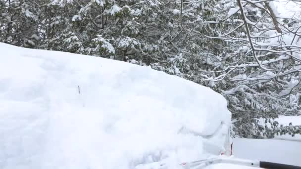 Muž odstraňuje sníh z baldachýnu se střešním hráběmi - Záběry, video